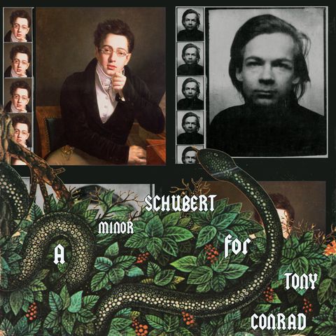 A collage of a painting of Franz Schubert alongside a black & white photograph of Tony Conrad with dense foliage and a snake curling through it in the foreground.