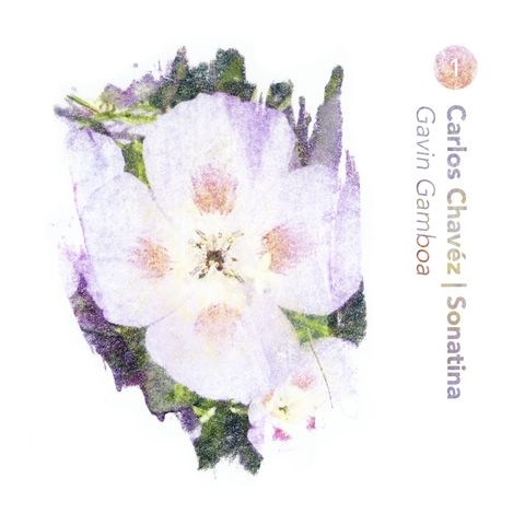 A colorful print of a flower against a white background, with the album title and artist name rotated 90º set close to the right margin.