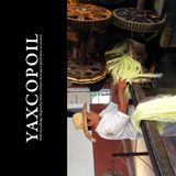 The image features a worker in a traditional henequen plantation in Yaxcopoil, Yucatán. The worker, dressed in white and wearing a straw hat, is feeding long strands of henequen fibers into a mechanical processing machine with large gears.